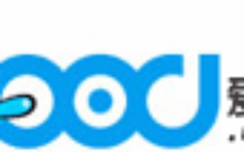 深圳市爱酷游网络技术服务有限公司