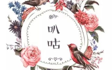 武汉点个赞有限公司