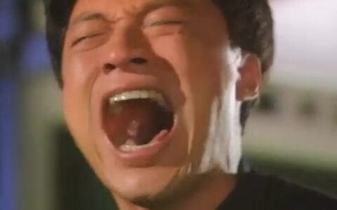 这样的智障也敢进军中国手游市场？