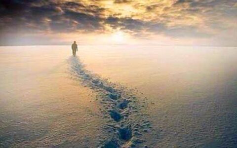 手游寒冬的2016 这三类产品也许能挣钱