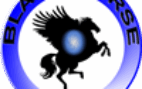 广州逆风鳞科技有限公司