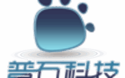 广州普石信息科技有限公司