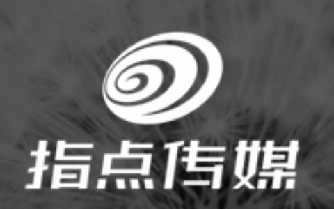指点传媒集团