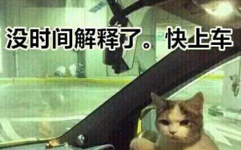 一言不合就开车！成人游戏公司投资6700万进军手游界