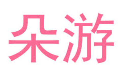 芜湖市朵游网络科技有限公司