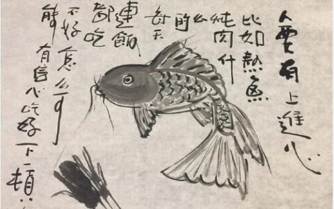 上海强龙网络有限公司