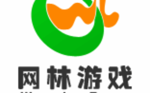 广州市网林信息科技有限公司