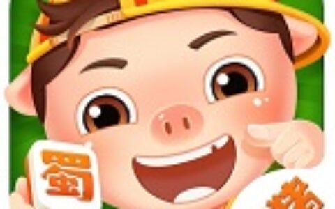 四川花猪互动科技有限公司