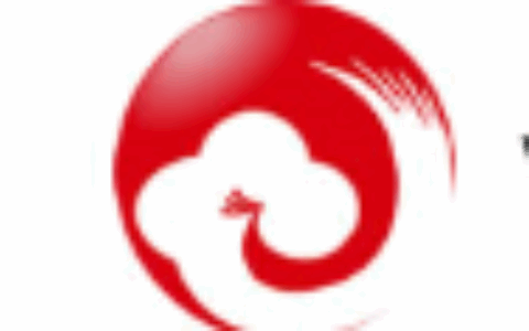 北京峰力无限国际传媒有限公司