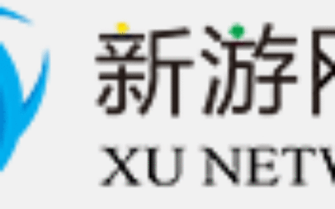 厦门新游网络股份有限公司