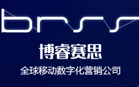 博睿赛思集团