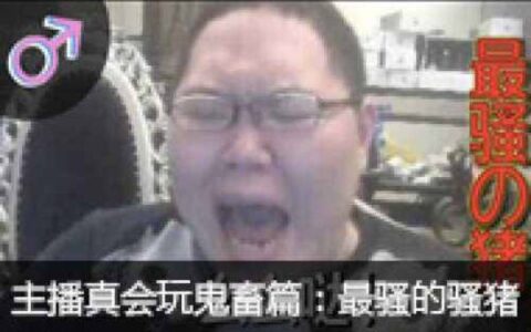 直播行业的南北分化：南方电竞 北方喊麦