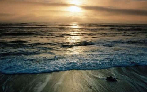 【观沧海】巨头垄断时代 中小游戏研发商如何另辟蹊径