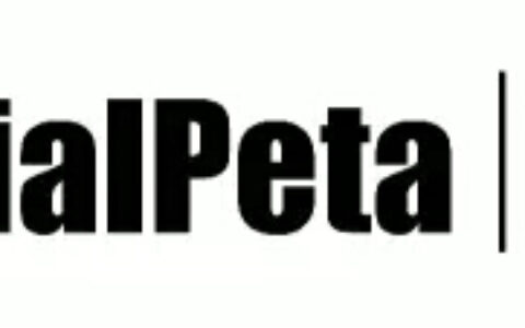 全球首屈一指的营销数据和视频云服务软件提供商，ZingFront确认参展2017ChinaJoyBTOB