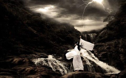 《神州奇侠》调研：IP改编中粉丝最期待的是什么？