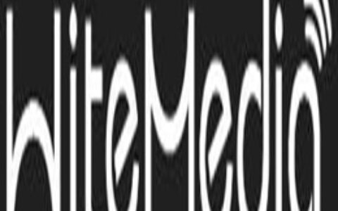 witemedia四川绵阳银舵科技有限公司