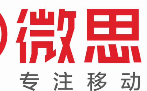 武汉微思敦网络技术有限公司