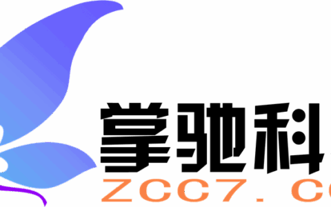 重庆掌驰科技有限公司