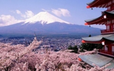 【中国出海秀】日本是个硬骨头 研发本地化或可打破壁垒