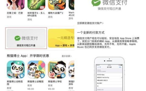 重磅！App Store正式支持微信支付