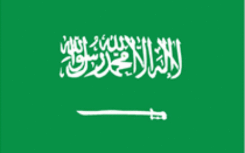 【中国出海秀】已转红海的沙特市场上 福州厂商战力高