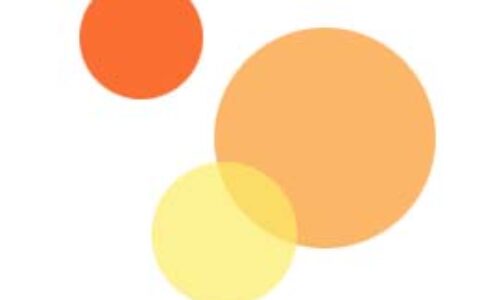 武汉橘色海岸线软件有限公司