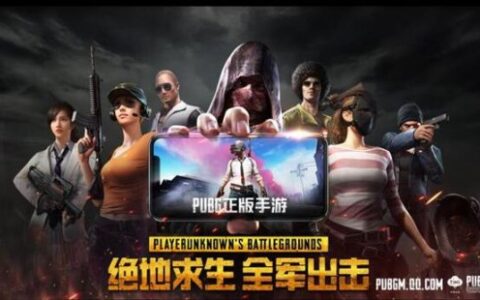 绝地求生正版手游来袭！暴鸡电竞将推陪玩新业务