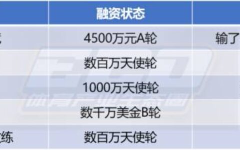从灰色地带的代练，到融资千万的陪玩：陪你打游戏背后的生意经
