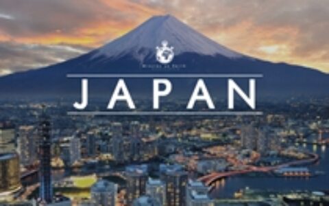 【中国出海秀】没IP的游戏 在日本砸千万美元要一年才能回本