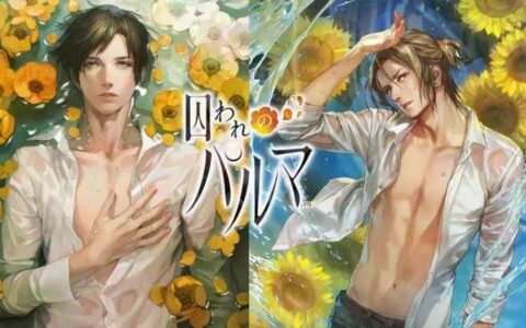 挖掘女性内心深处隐藏的欲望 老司机谈日本女性向手游的秘诀