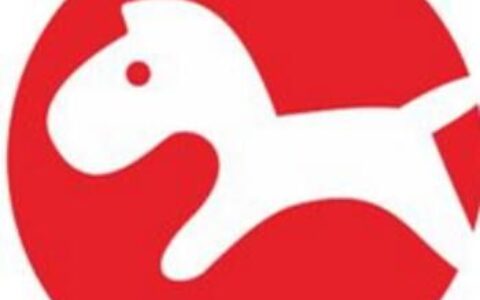 温州搜伯信息科技有限公司