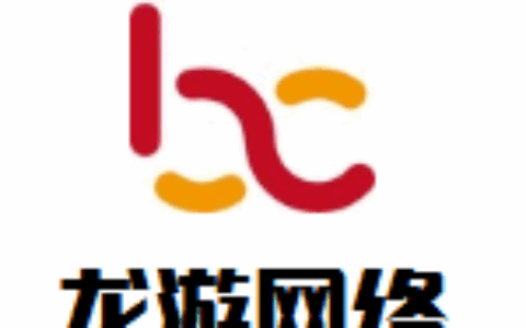 深圳市龙游网络有限公司