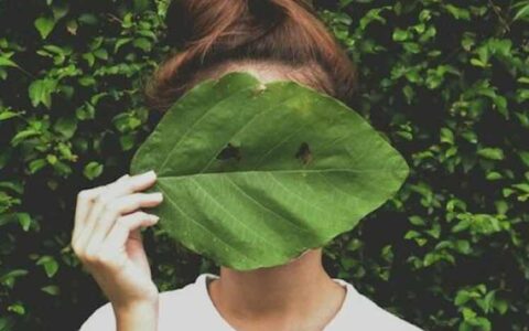 北京北梦北梦科技有限公司