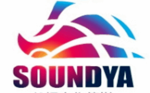 声扬文化传媒有限公司