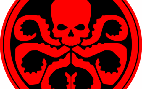 武汉海德拉网络科技有限公司