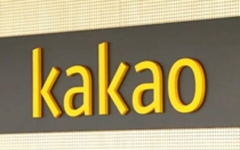 曾获腾讯阿里投资的韩国腾讯 又获盛大、点点互动亿元注资