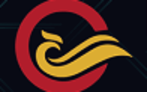 广东冠睿科技有限公司