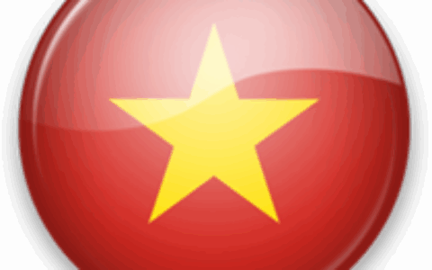 【中国出海秀】《乱世王者》在东南亚开测 越南国产吃鸡游戏坚挺