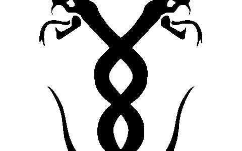 陕西银蛇数字信息科技有限公司