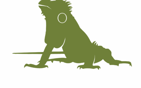 青岛大蜥蜴娱乐有限公司