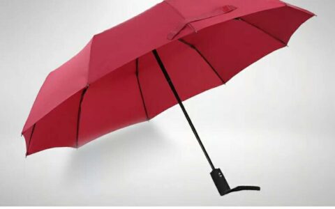 颜值大雨伞为你而来 300积分即可带走它 | 茶馆活动