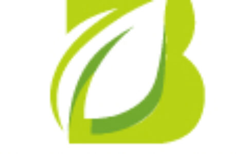 深圳市伯骐文化传媒有限公司