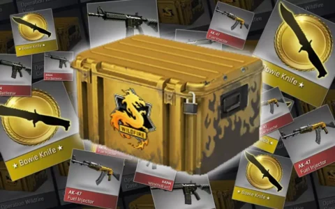 V社关闭荷兰《CS：GO》和《DOTA2》的物品交易 开箱玩法或将在欧洲全面禁止