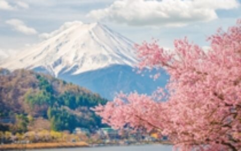 【中国出海秀】出海日本头部游戏深耕本地化 做TV动画出东京地图