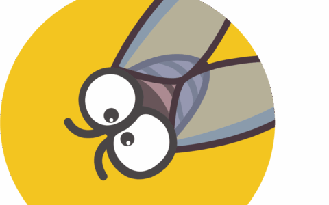 厦门立马耀网络科技有限公司