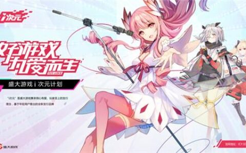 细分市场成焦点 盛大游戏如何用i次元“与变革为伴”