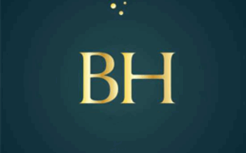 上海巴霍网络科技有限公司