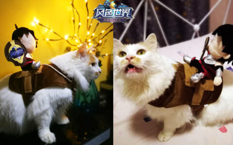 网红萌宠怎样炼成 《风色世界》告诉你！