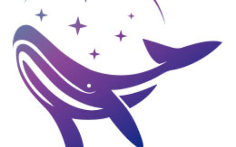 广州畅游互动信息技术有限公司