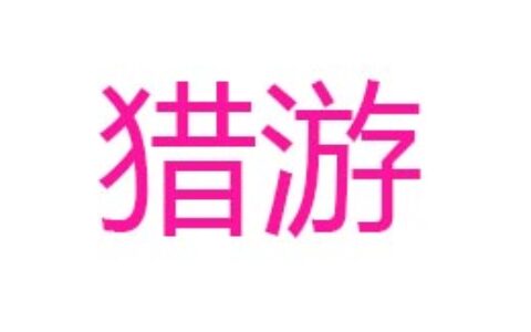 上海猎游网络科技有限公司